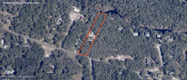 00 Cyril Drive, Ridge Manor, FL, 33523