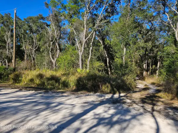 0 Berryhill Drive, Webster, FL, 33597