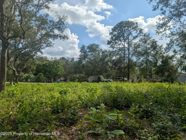 0 Merlin Circle, Ridge Manor, FL, 33523