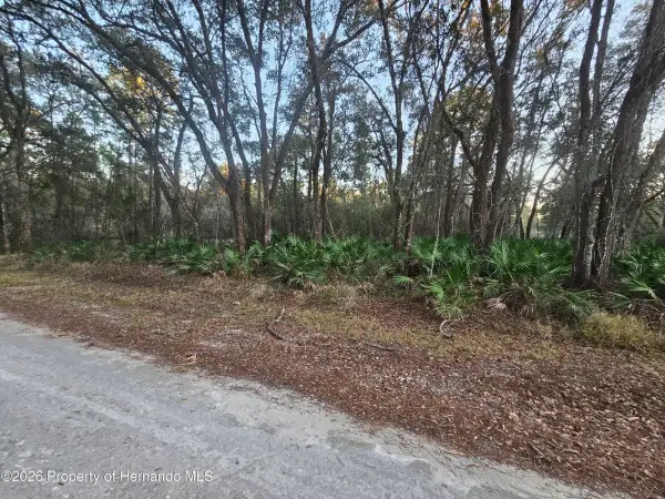 0 Rosehill Drive, Webster, FL, 33597