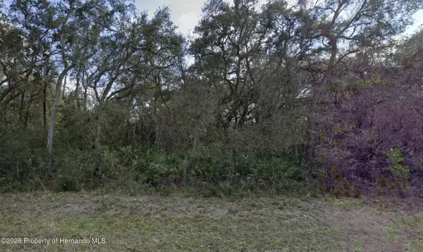 7149 Alloy Street, Webster, FL, 33597