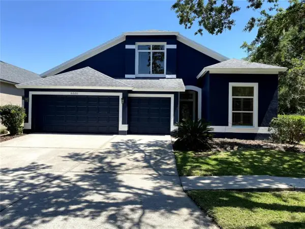 6020 Martinglade Place, Lithia, FL, 33547