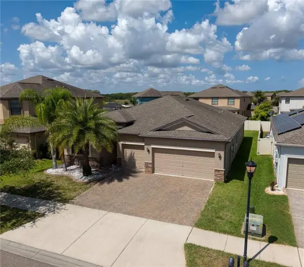 10009 Celtic Ash Drive, Ruskin, FL, 33573