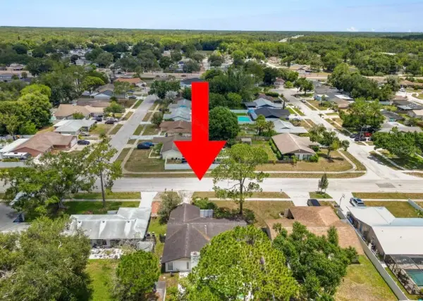 5028 Headland Hills Avenue, Tampa, FL, 33625