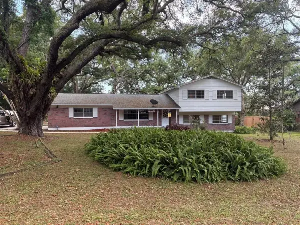 5107 E 120th Avenue, Temple Terrace, FL, 33617