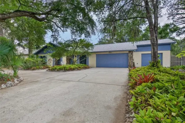 901 W River Drive, Temple Terrace, FL, 33617
