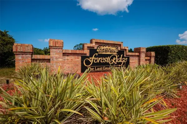 1805 Wood Bend Street, Tarpon Springs, FL, 34689
