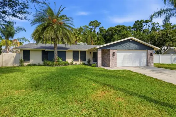 12606 Wood Ibis Way, Tampa, FL, 33624