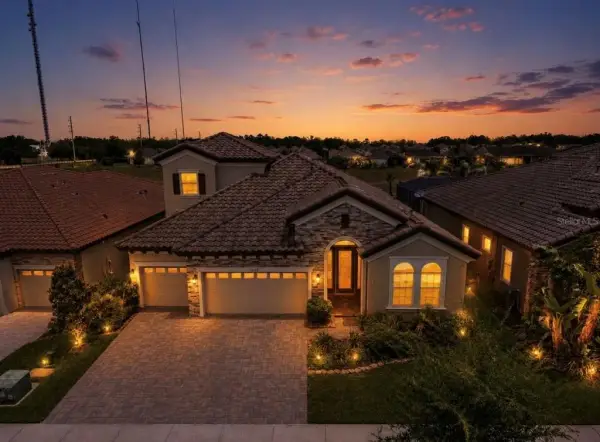 13712 Osprey Fern Lane, Riverview, FL, 33569