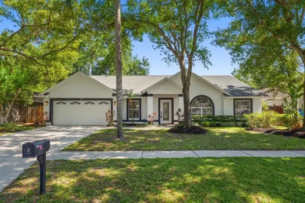 5423 Windbrush Drive, Tampa, FL, 33625