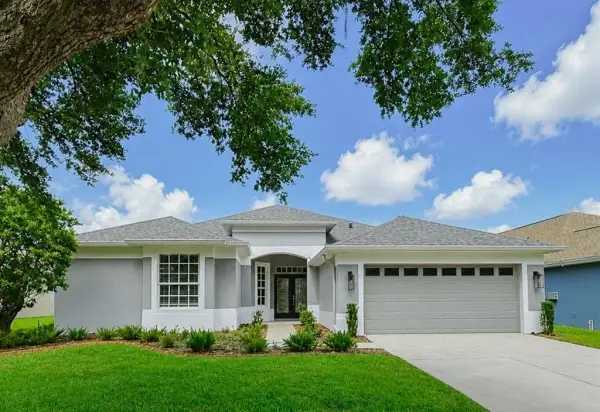 5849 Heronrise Crescent Drive, Lithia, FL, 33547