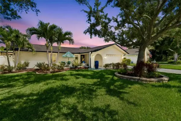725 Del Oro Drive, Safety Harbor, FL, 34695