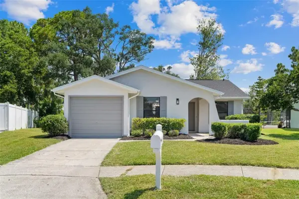1206 Sawgrass Court, Oldsmar, FL, 34677