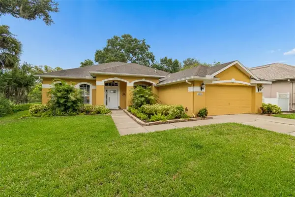 10035 Remington Drive, Riverview, FL, 33578