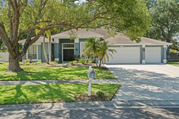 751 House Wren Circle, Palm Harbor, FL, 34683