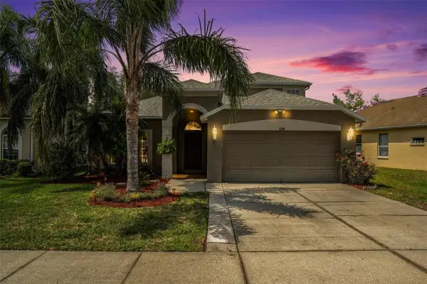3219 Gianna Way, Land O Lakes, FL, 34638