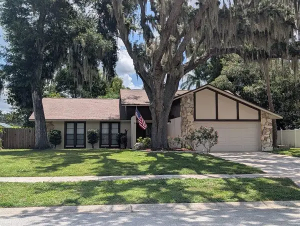 1005 Tranquiview Lane, Valrico, FL, 33594