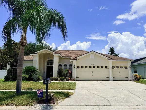 13008 Prestwick Drive, Riverview, FL, 33579
