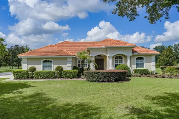 19616 Amazon Basin Bend, Lutz, FL, 33559