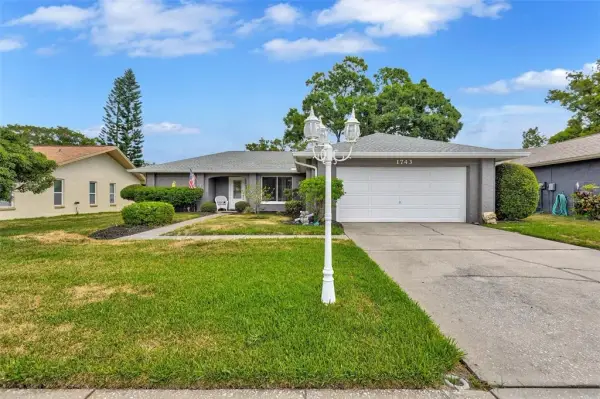 1743 Macdonnell Drive, Palm Harbor, FL, 34684