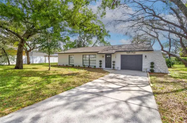 198 Tulsa Avenue, Spring Hill, FL, 34606