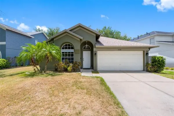 1534 Scotch Pine Drive, Brandon, FL, 33511