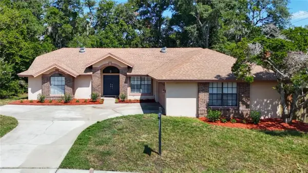 2102 Laindale Place, Valrico, FL, 33596