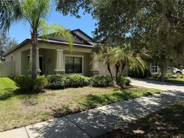 11617 Palmetto Pine Street, Riverview, FL, 33569