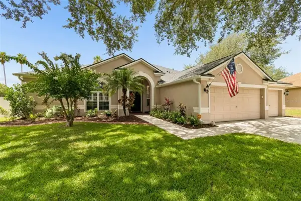 12307 Breton Oak Lane, Riverview, FL, 33569