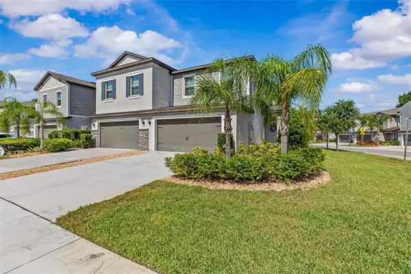 1603 Roseville Street, Lutz, FL, 33549