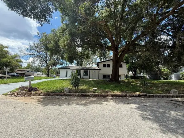 402 Blueberry Lane, Brandon, FL, 33510