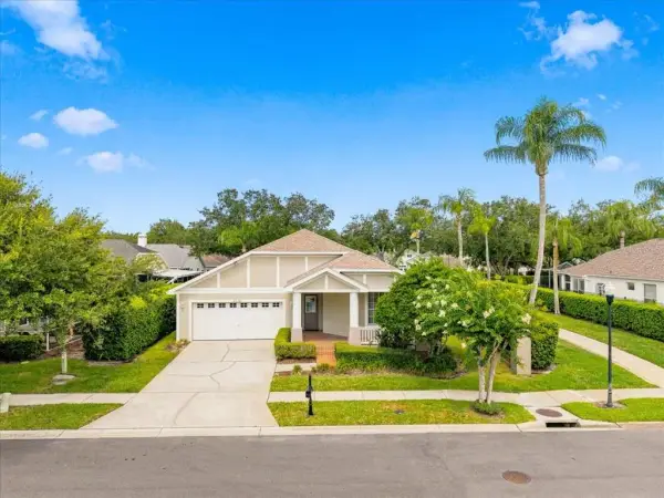 4628 Corsage Drive, Lutz, FL, 33558