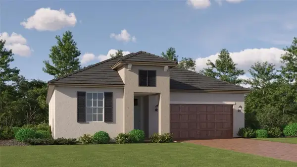 10284 Minnow Ray Drive, Land O Lakes, FL, 34638