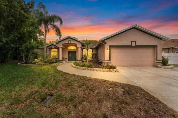 22804 Willow Lakes Drive, Lutz, FL, 33549