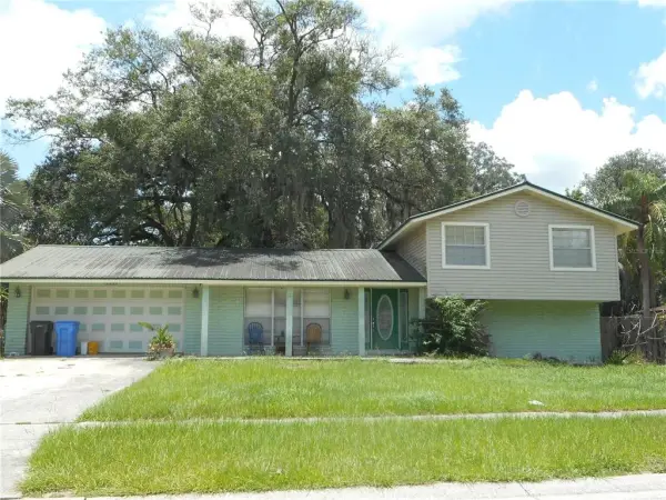 1203 Lake Valrico Lane, Valrico, FL, 33594
