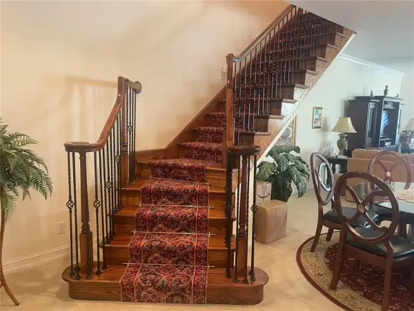 937 Canino Court, Palm Harbor, FL, 34683