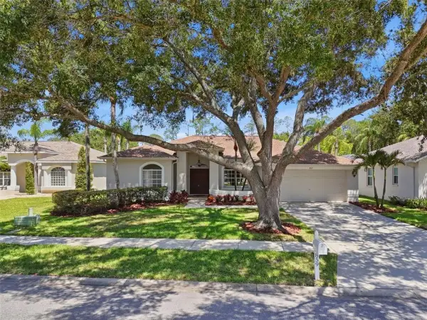 859 Inverry Drive, Oldsmar, FL, 34677