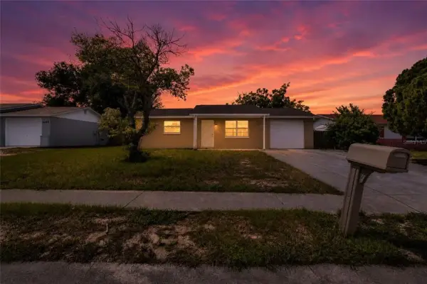 6318 Baldwyn Avenue, New Port Richey, FL, 34653