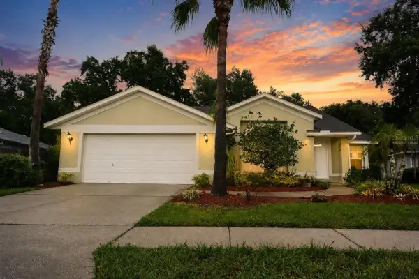 24449 Painter Drive, Land O Lakes, FL, 34639