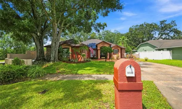 16502 Cayman Drive, Tampa, FL, 33624