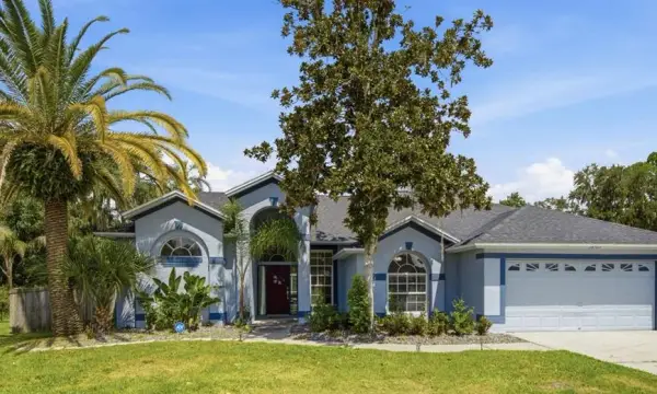 28707 Raleigh Place, Wesley Chapel, FL, 33545